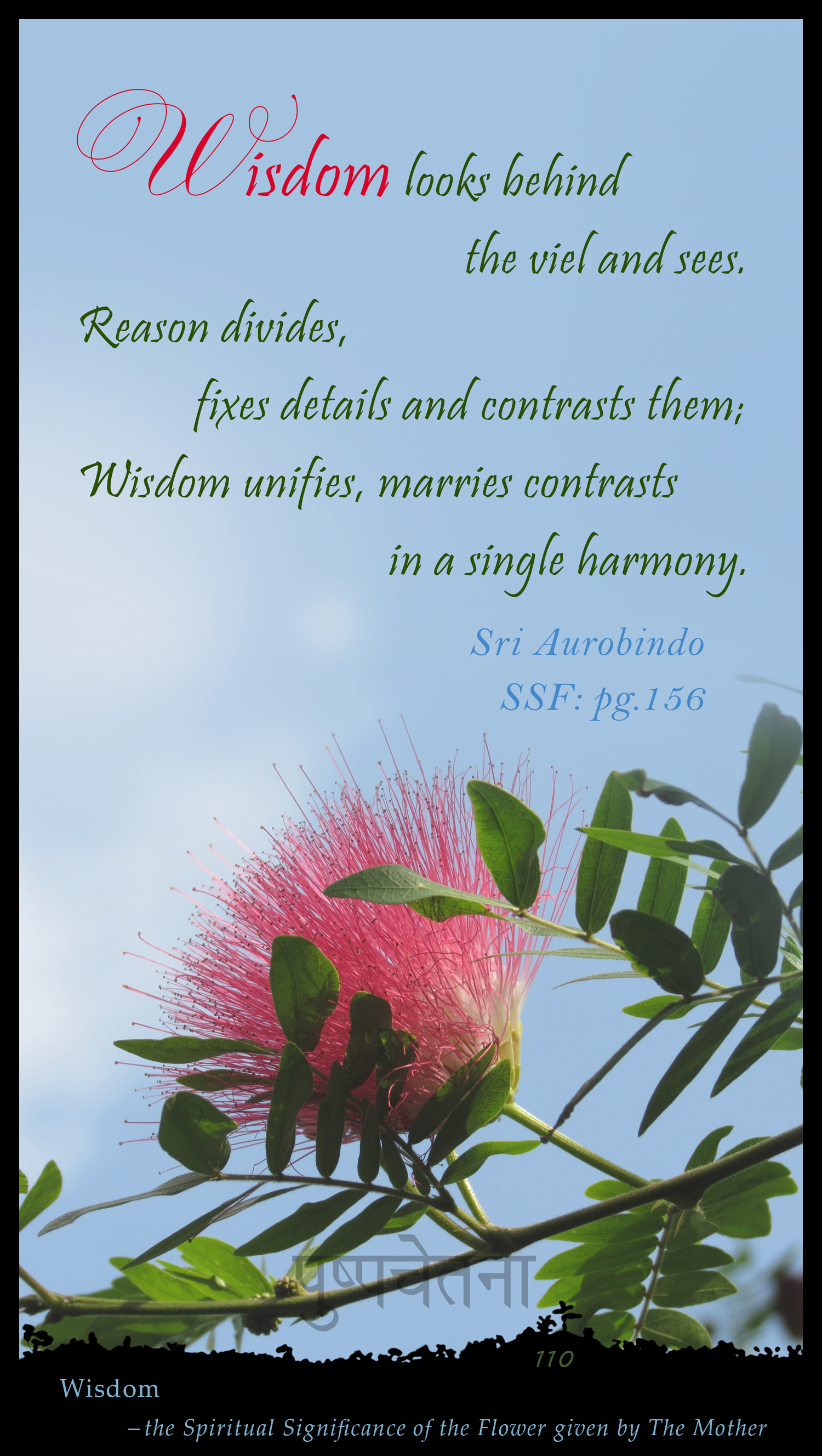 Wisdom